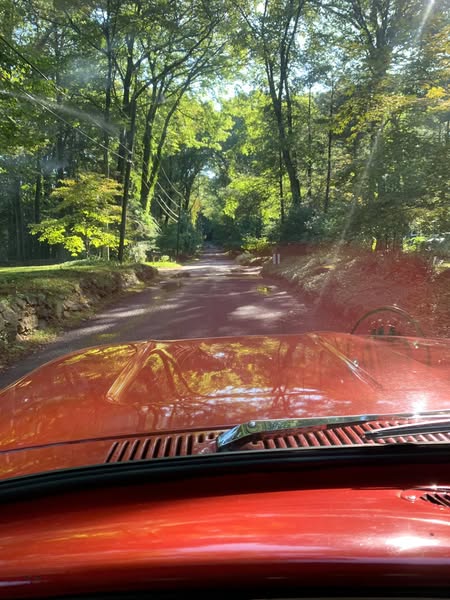 Destination: Farmer’s Market and Playground