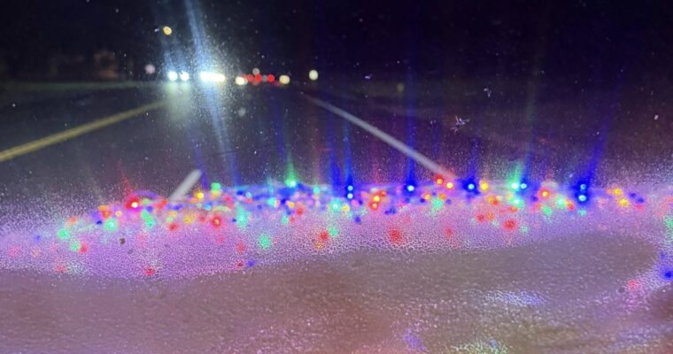 Christmas Tree Time!