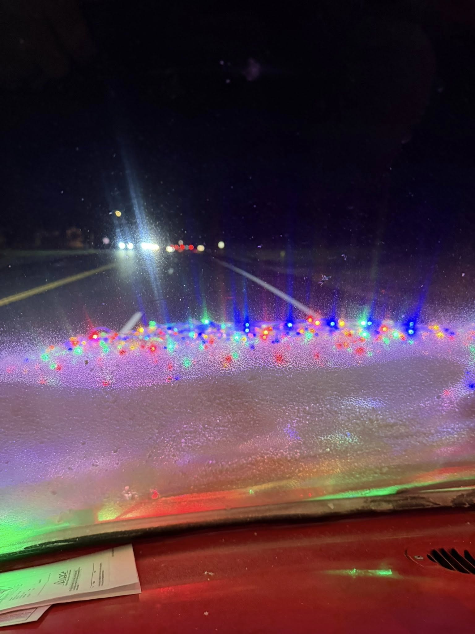 Christmas Tree Time!